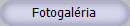 Fotogal�ria